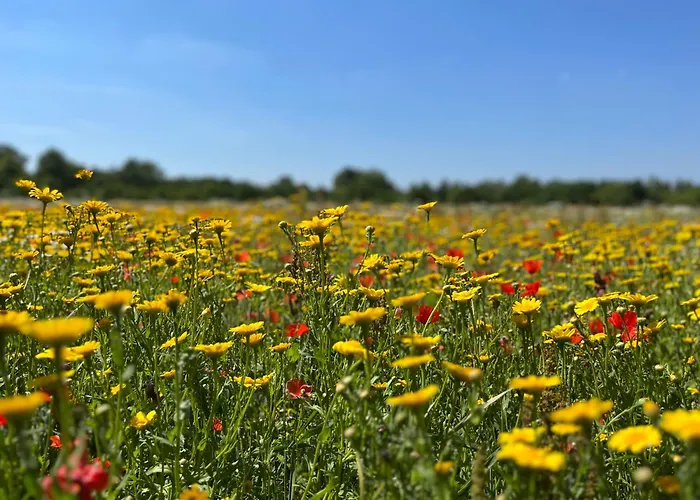 Bed & Breakfast De Oude Melkfabriek