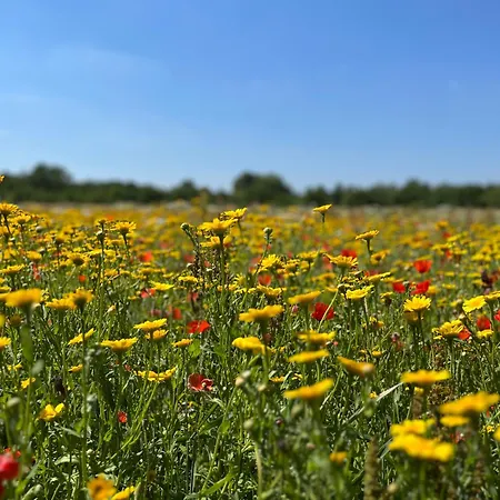 Bed & Breakfast De Oude Melkfabriek